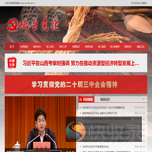 岷县党建网