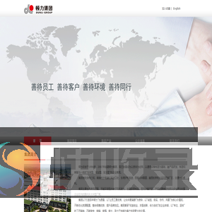 顿力集团有限公司