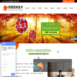 泰安东枫园林苗木有限公司,泰安东枫园林,东枫园林,泰安东枫园林有限公司,泰安红枫价格,泰安火焰南天竹,泰安火焰南天竹基地,泰安红枫基地