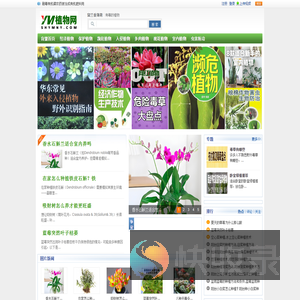 农业种植技术,植物花卉图片,家居绿化