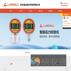 武汉蓝达威尔科技有限公司