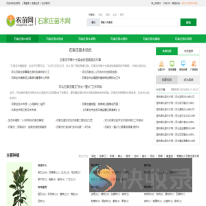 石家庄苗木