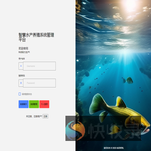 智锐信息