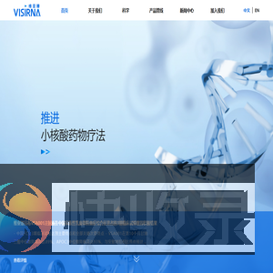 Visirna