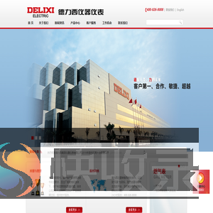 德力西仪器仪表有限公司
