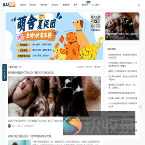 开派特