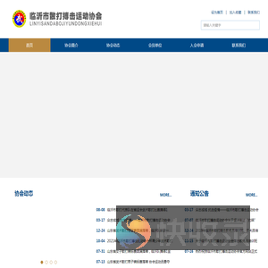 临沂市散打搏击运动协会