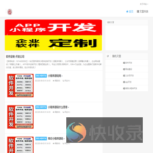 软件定制