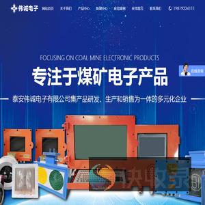 泰安伟诚电子有限公司