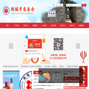 桐城市慈善会官网