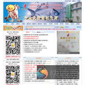 宜春强微专业乳酸菌制造商