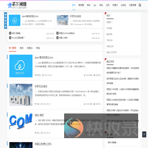 芯岁网络