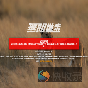 掷元网络科技