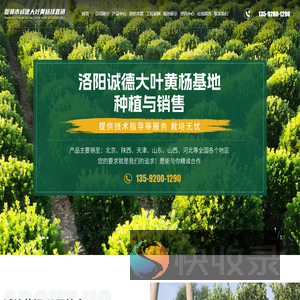 偃师市邙岭镇诚德大叶黄杨直销部