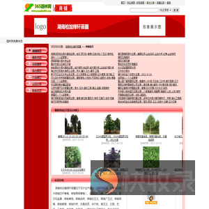 湖南柏加绿轩苗圃