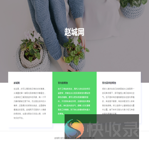 赵城网