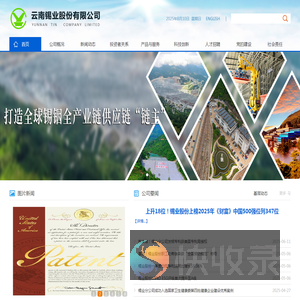 云南锡业股份有限公司