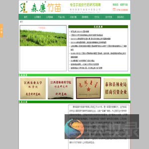 森廉竹苗,专注于观赏竹培育,泰和森联竹类苗木有限公司