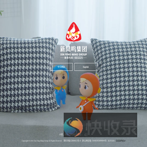 新凤鸣集团股份有限公司