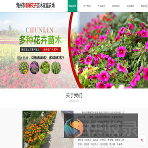 青州时令草花
