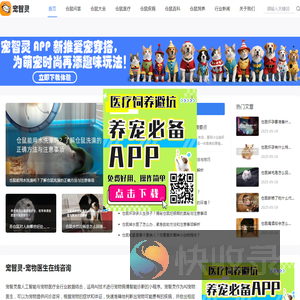 仓鼠医生在线上咨询问诊断