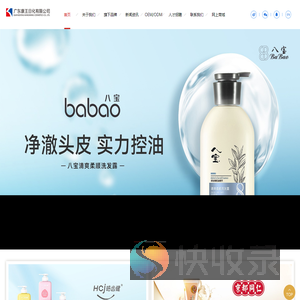 广东康王日化有限公司