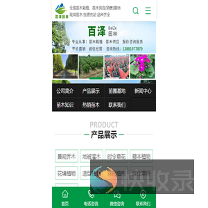 四川绿化苗木