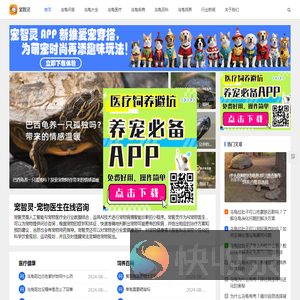乌龟医生在线上咨询问诊断