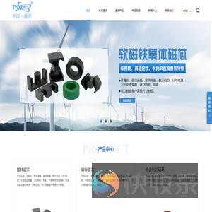 广州市通洋电子有限公司