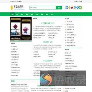 木已成舟网
