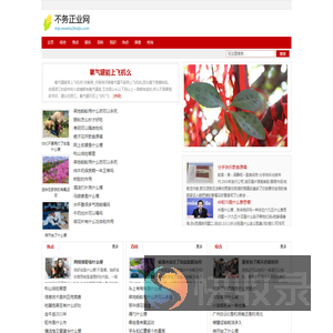不务正业网