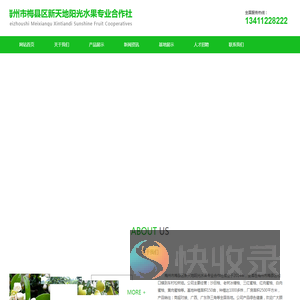 梅州沙田柚,老树冰糖柚,梅州三红蜜柚,梅州红肉蜜柚,梅州白肉蜜柚