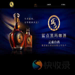 猛点酒官网