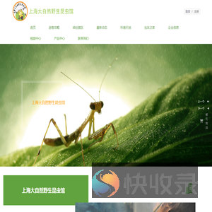 上海大自然野生昆虫馆