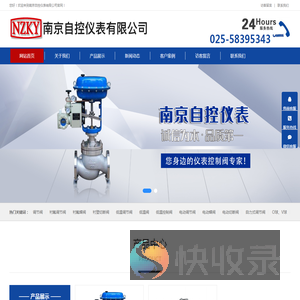 南京自控仪表有限公司