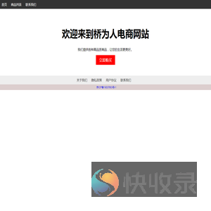 电商网站
