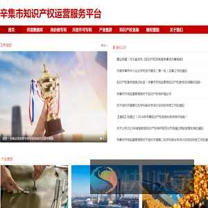 辛集市知识产权运营平台