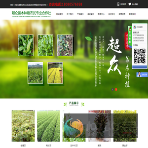 雅安市名山区超众苗木种植农民专业合作社