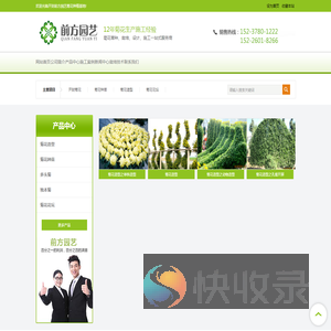 开封菊花