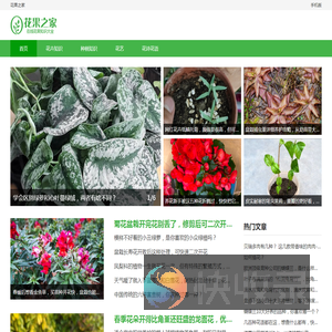 花果之家