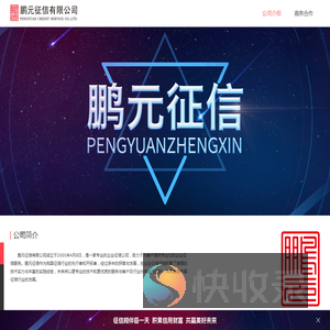 公司介绍