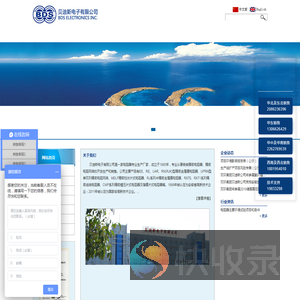 贝迪斯电子有限公司