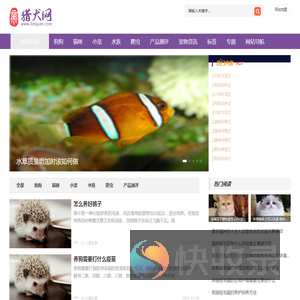猎犬网(猎犬宠物网)
