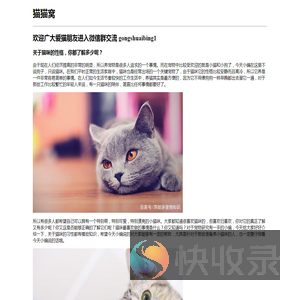 猫猫窝