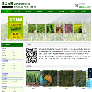 绿化苗木价格