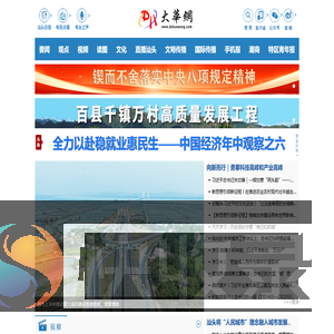 大华网