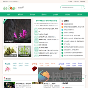 道道花百科