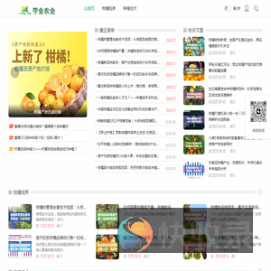 柑橘新品种