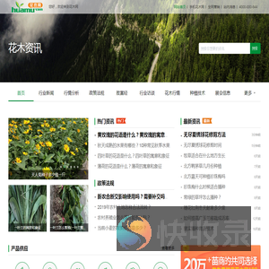 苗木价格行情