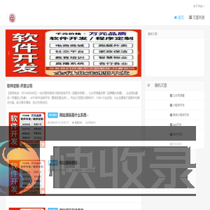 软件定制